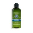 Anti-dandruff Shampoo L Occitane En Provence Aromacología 300 ml Sale