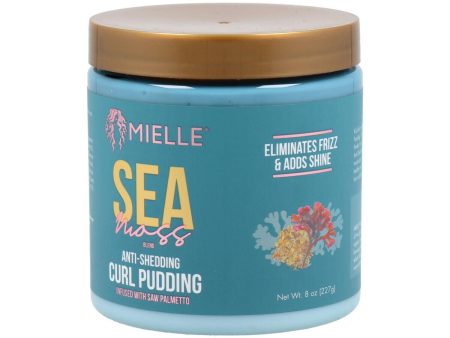 Defined Curls Conditioner Mielle Sea Moss For Discount