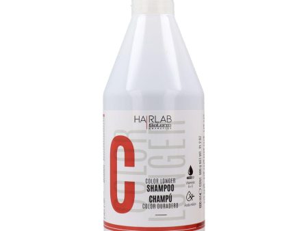 Shampoo Salerm Color Longer Hair Lab 600 ml For Discount