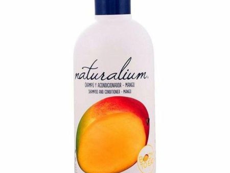 2-in-1 Shampoo and Conditioner Naturalium (400 ml) Supply