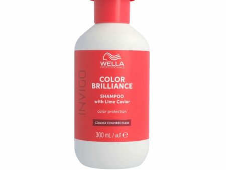 Colour Revitalizing Shampoo Wella Invigo Color Brilliance Coloured Hair Thick hair 300 ml Online now