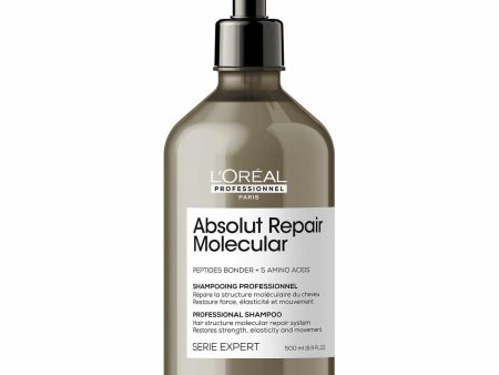 Restorative Shampoo L Oreal Professionnel Paris Absolute Repair Molecular 500 ml Supply