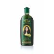 Hair Oil Dabur Amla 300 ml Online