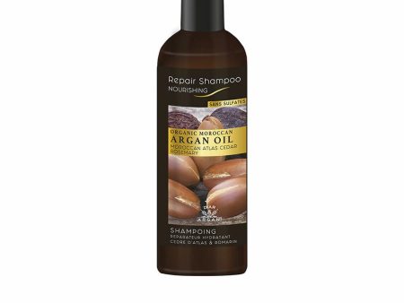 Shampoo Diar Argan   Rosemary Argan 200 ml Online Hot Sale