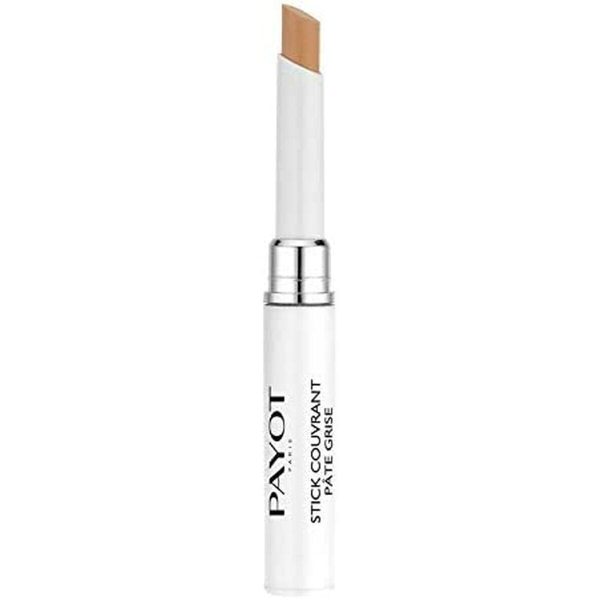 Concealer Pencil Payot Pâte Grise 6 ml 2-in-1 Purifying Discount