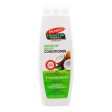 Conditioner Palmer s Coconut Oil 400 ml Discount