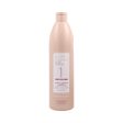 Shampoo Alfaparf Milano Lisse Design (500 ml) For Cheap